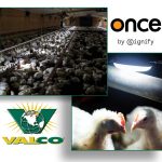 VAL-CO® and ONCE® (by Signify®) Announce Exclusive Partnership