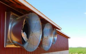 air speed poultry fans