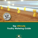 poultry watering guide