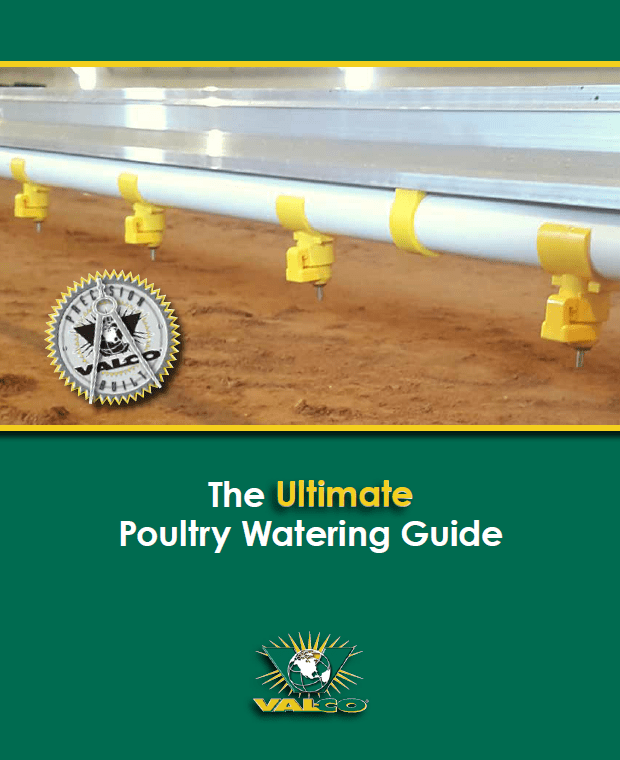 poultry watering guide